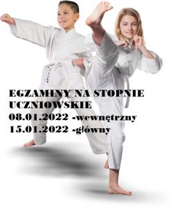 Read more about the article Egzaminy na stopnie uczniowskie