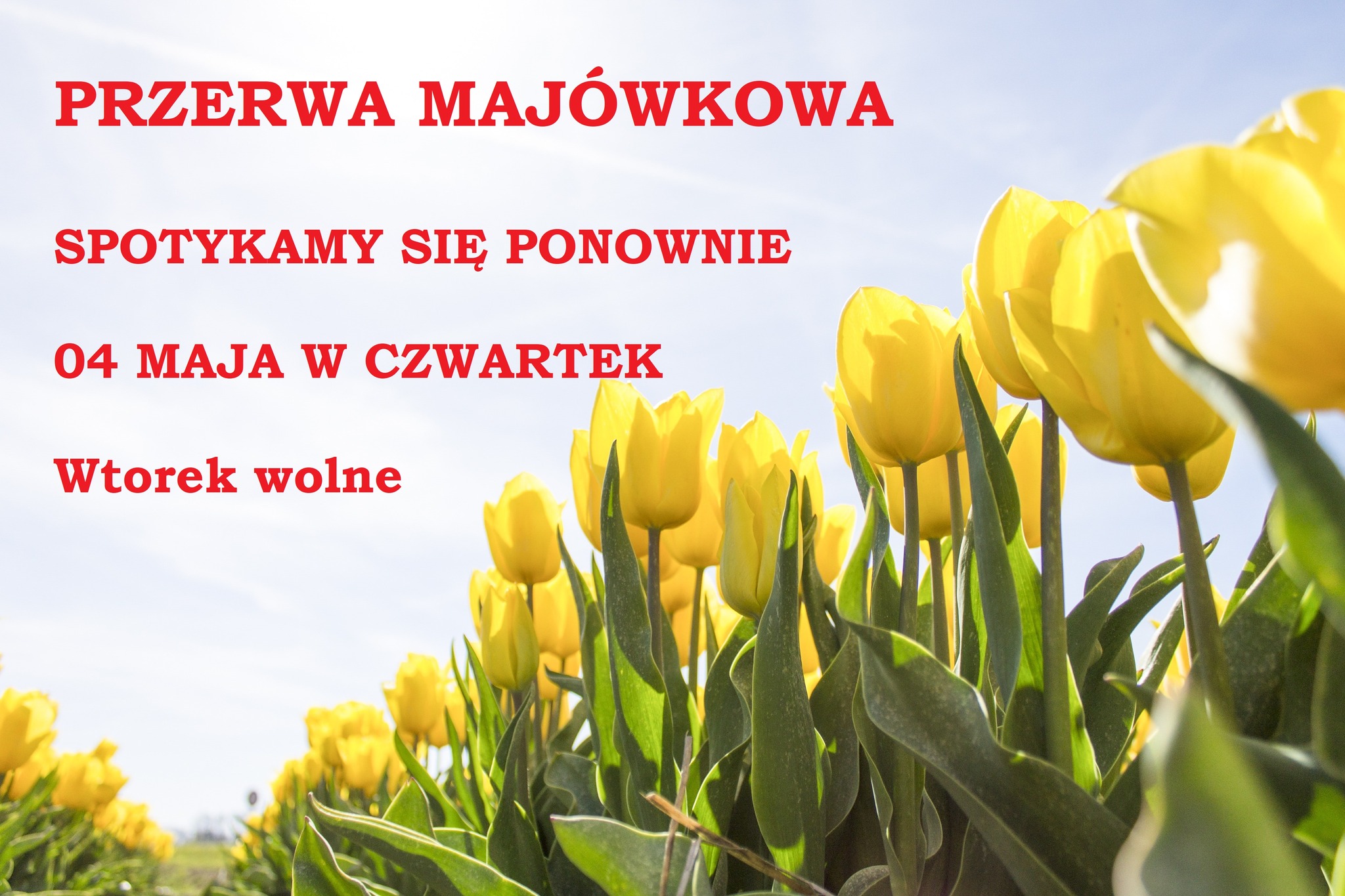 You are currently viewing PRZERWA MAJÓWKOWA
